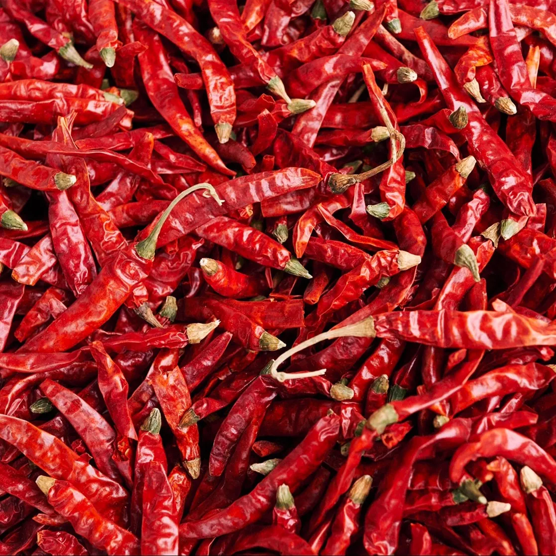 Erjingtiao chilis
