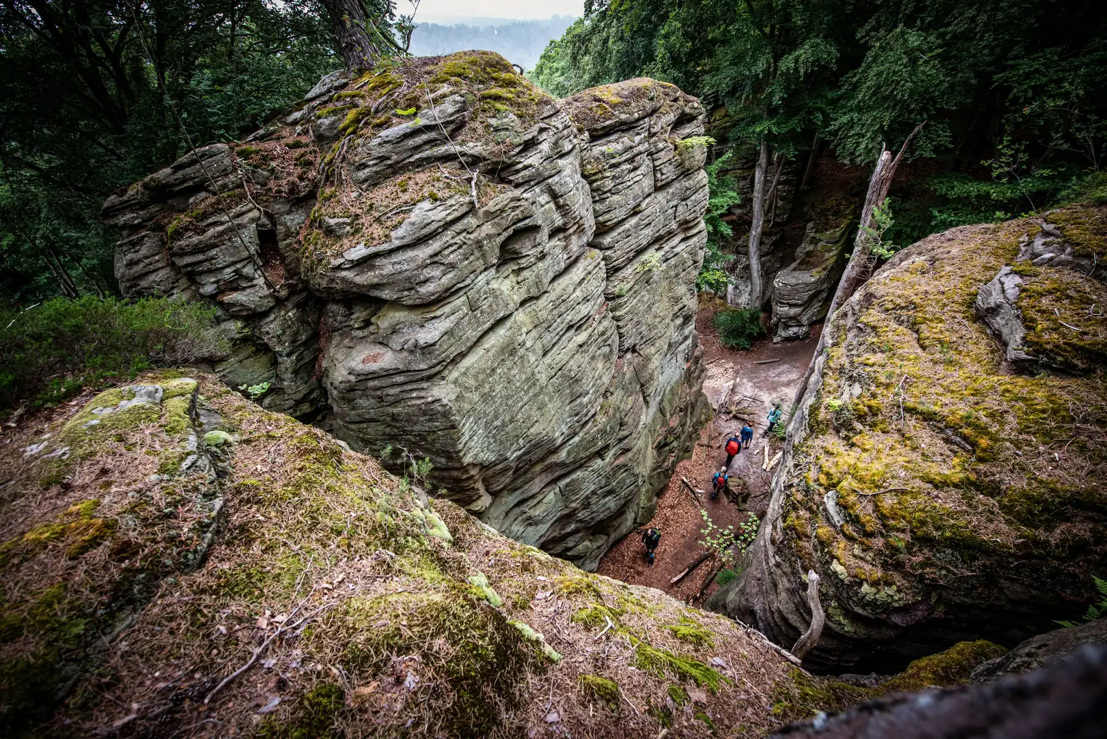 Sandstone rocks on the Mullerthal Trail